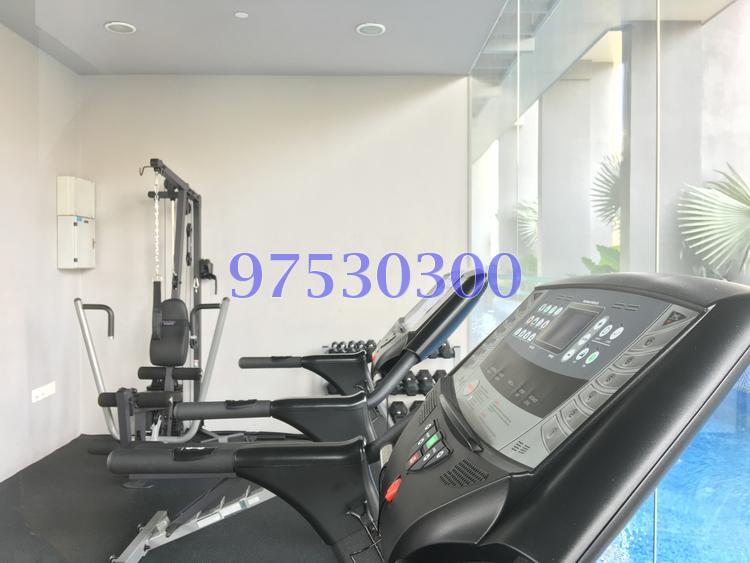 38 I Suites (D15), Apartment #128082362